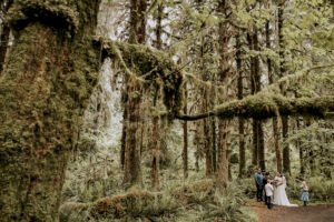 pnw wedding photography