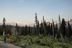Surprise proposal and engagement session at Mount Rainier National Park.